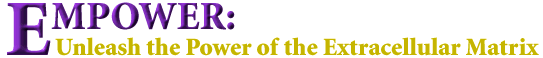 EMPOWER: Unleash the Power of the Extracellular Matrix